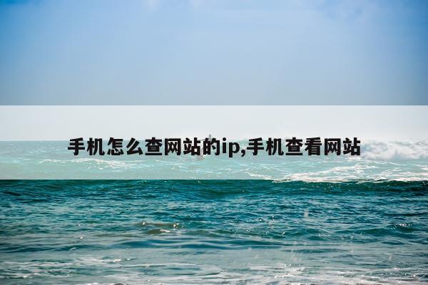 手机怎么查网站的ip,手机查看网站