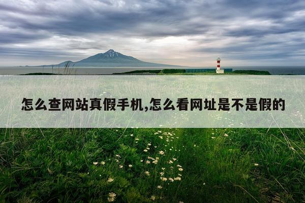 怎么查网站真假手机,怎么看网址是不是假的