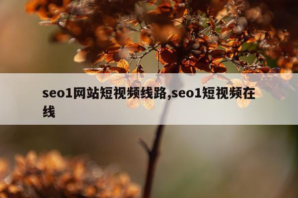 seo1网站短视频线路,seo1短视频在线
