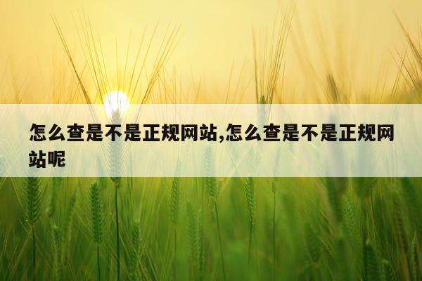 怎么查是不是正规网站,怎么查是不是正规网站呢