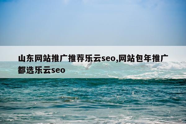 山东网站推广推荐乐云seo,网站包年推广都选乐云seo
