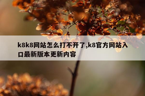 k8k8网站怎么打不开了,k8官方网站入口最新版本更新内容