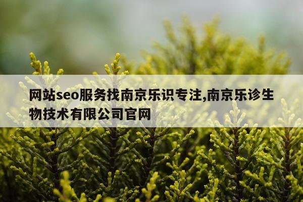 网站seo服务找南京乐识专注,南京乐诊生物技术有限公司官网