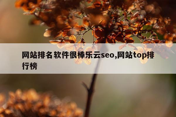 网站排名软件很棒乐云seo,网站top排行榜