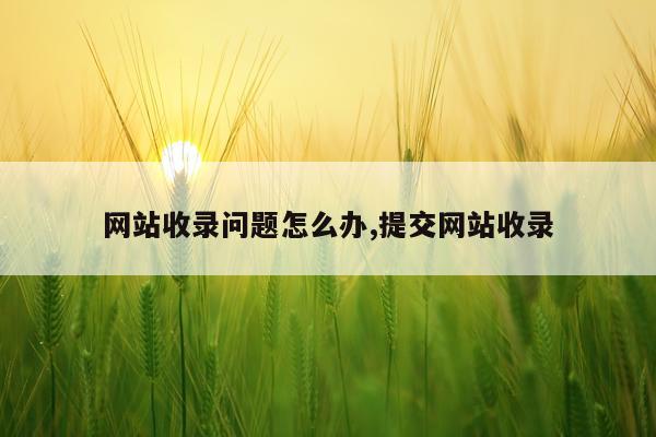 网站收录问题怎么办,提交网站收录
