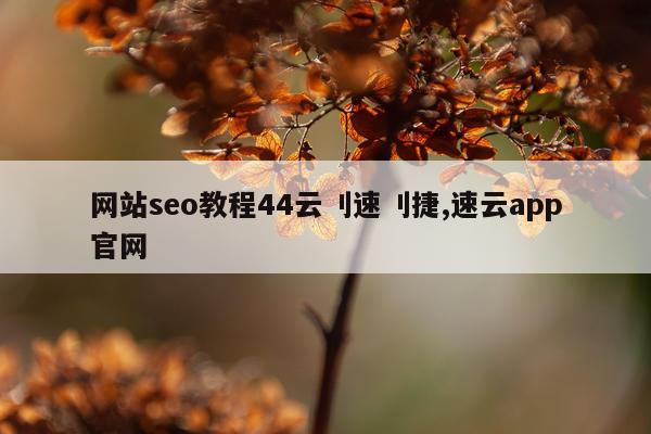 网站seo教程44云刂速刂捷,速云app官网
