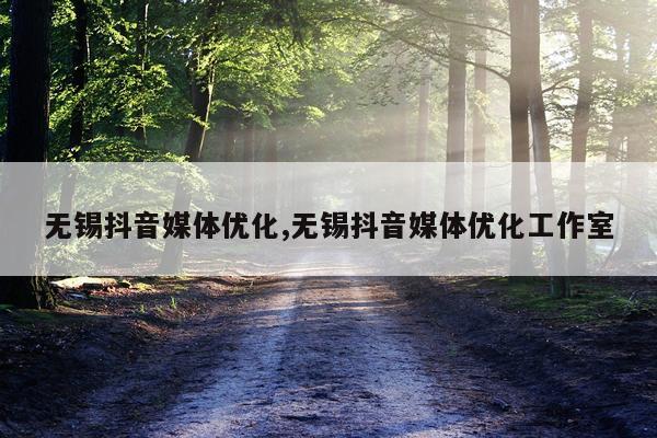无锡抖音媒体优化,无锡抖音媒体优化工作室