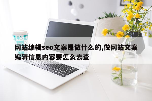 网站编辑seo文案是做什么的,做网站文案编辑信息内容要怎么去查