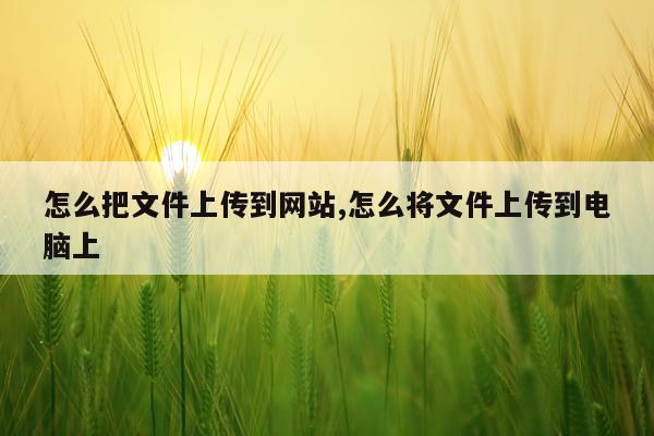 怎么把文件上传到网站,怎么将文件上传到电脑上