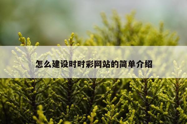 怎么建设时时彩网站的简单介绍