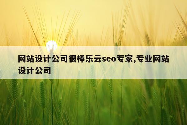 网站设计公司很棒乐云seo专家,专业网站设计公司