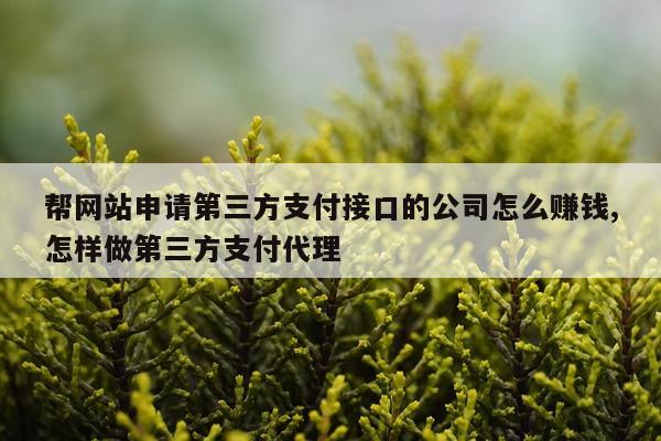 帮网站申请第三方支付接口的公司怎么赚钱,怎样做第三方支付代理