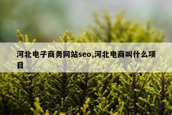 河北电子商务网站seo,河北电商叫什么项目