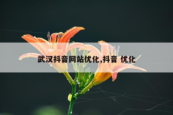 武汉抖音网站优化,抖音 优化