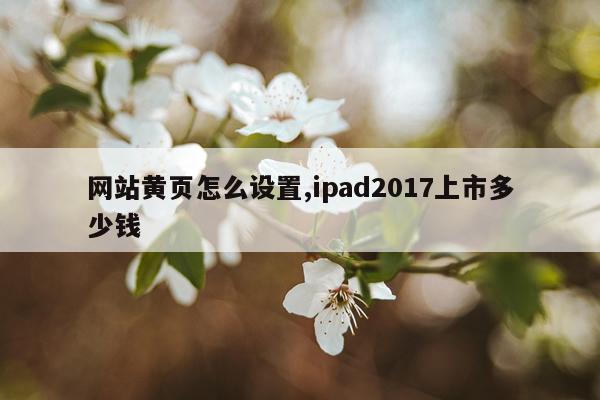 网站黄页怎么设置,ipad2017上市多少钱