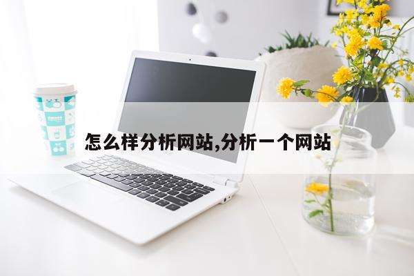 怎么样分析网站,分析一个网站