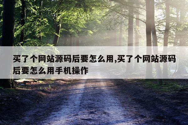 买了个网站源码后要怎么用,买了个网站源码后要怎么用手机操作
