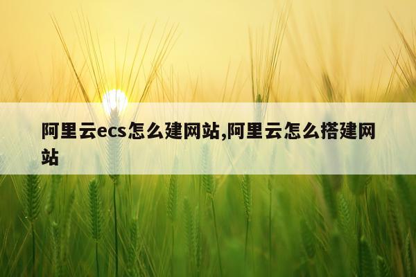 阿里云ecs怎么建网站,阿里云怎么搭建网站