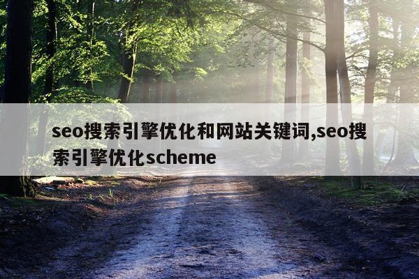seo搜索引擎优化和网站关键词,seo搜索引擎优化scheme