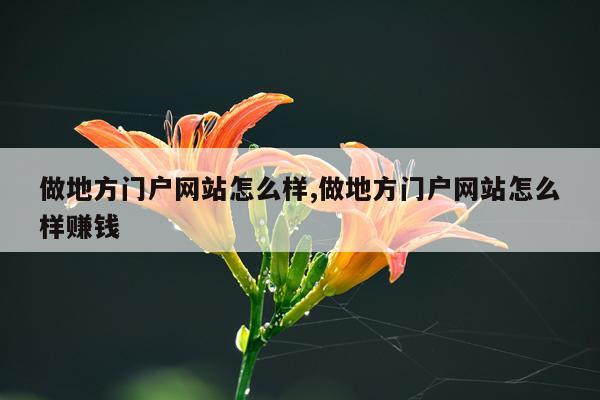 做地方门户网站怎么样,做地方门户网站怎么样赚钱