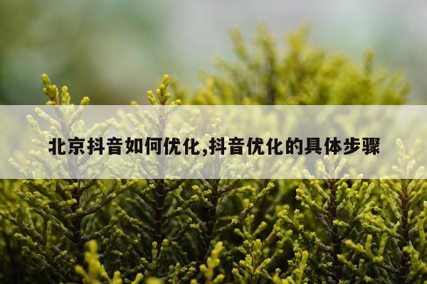 北京抖音如何优化,抖音优化的具体步骤