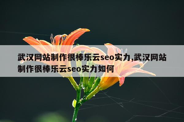 武汉网站制作很棒乐云seo实力,武汉网站制作很棒乐云seo实力如何