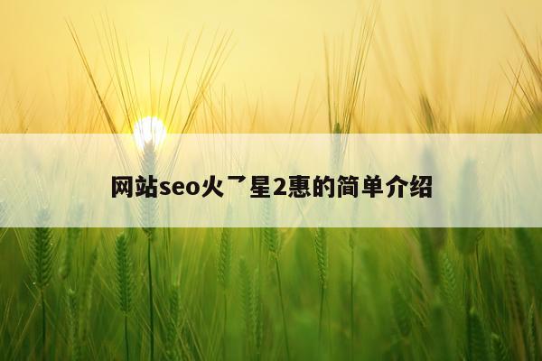 网站seo火乛星2惠的简单介绍