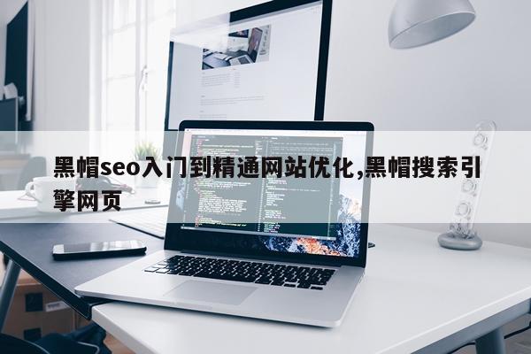 黑帽seo入门到精通网站优化,黑帽搜索引擎网页