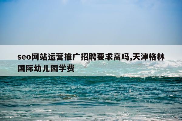 seo网站运营推广招聘要求高吗,天津格林国际幼儿园学费