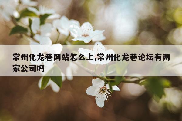 常州化龙巷网站怎么上,常州化龙巷论坛有两家公司吗