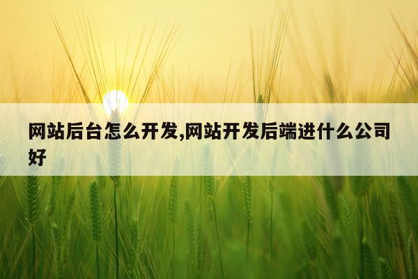 网站后台怎么开发,网站开发后端进什么公司好