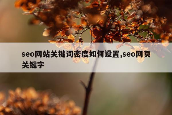 seo网站关键词密度如何设置,seo网页关键字