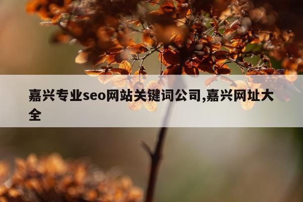 嘉兴专业seo网站关键词公司,嘉兴网址大全