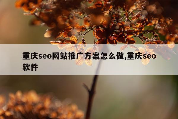 重庆seo网站推广方案怎么做,重庆seo软件