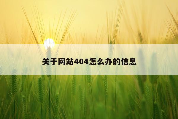 关于网站404怎么办的信息