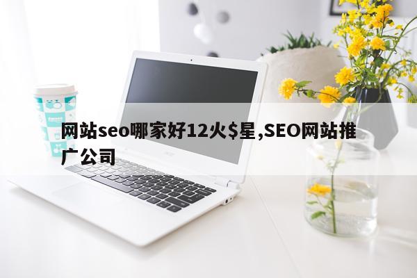 网站seo哪家好12火$星,SEO网站推广公司
