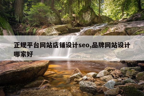 正规平台网站店铺设计seo,品牌网站设计哪家好