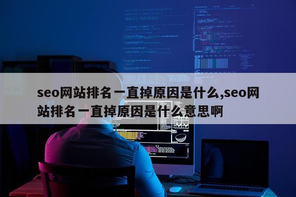seo网站排名一直掉原因是什么,seo网站排名一直掉原因是什么意思啊