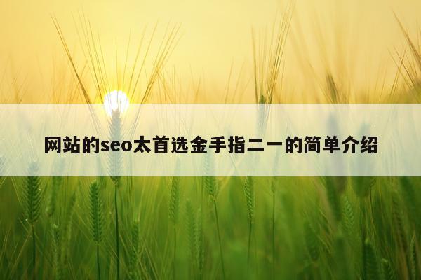 网站的seo太首选金手指二一的简单介绍