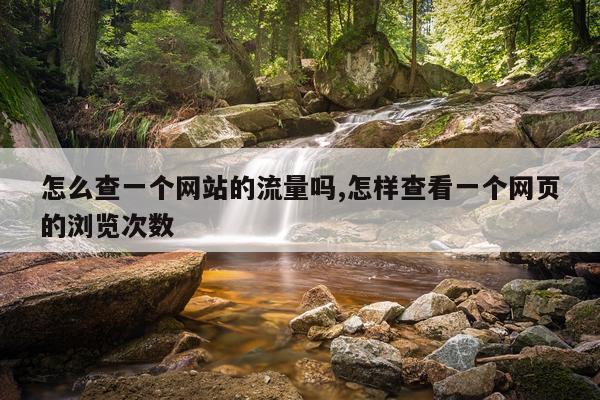 怎么查一个网站的流量吗,怎样查看一个网页的浏览次数