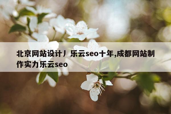 北京网站设计丿乐云seo十年,成都网站制作实力乐云seo