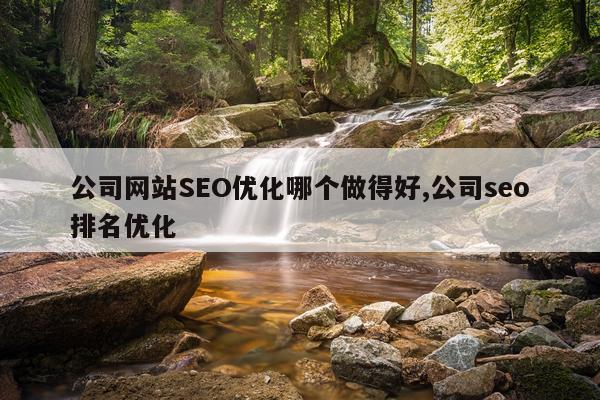 公司网站SEO优化哪个做得好,公司seo排名优化