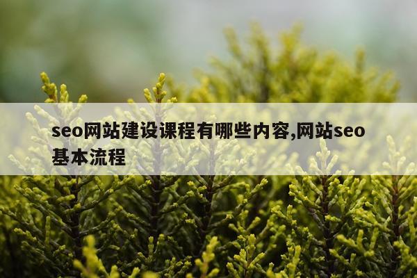 seo网站建设课程有哪些内容,网站seo基本流程