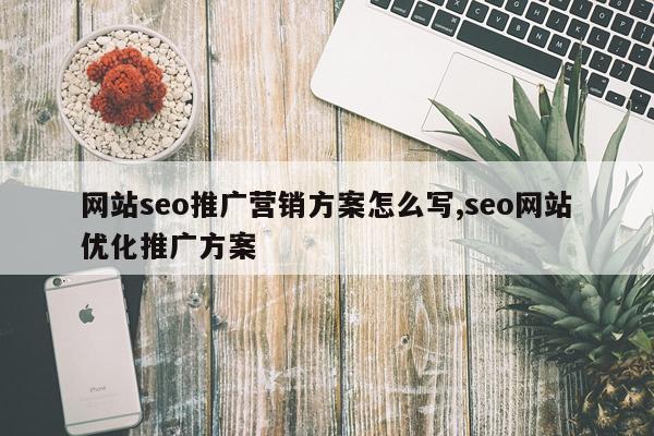 网站seo推广营销方案怎么写,seo网站优化推广方案