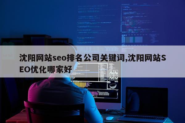 沈阳网站seo排名公司关键词,沈阳网站SEO优化哪家好