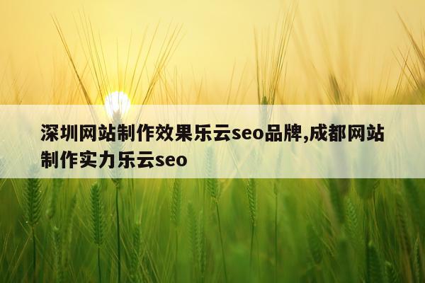 深圳网站制作效果乐云seo品牌,成都网站制作实力乐云seo