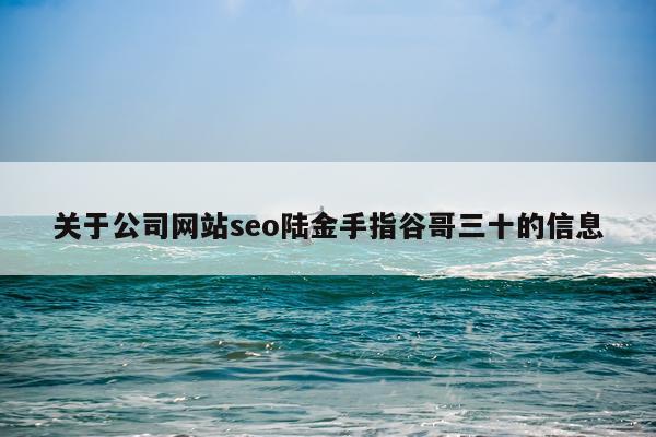 关于公司网站seo陆金手指谷哥三十的信息