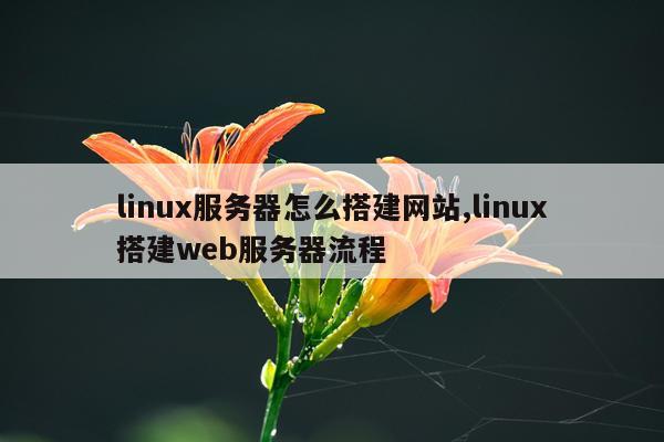 linux服务器怎么搭建网站,linux搭建web服务器流程