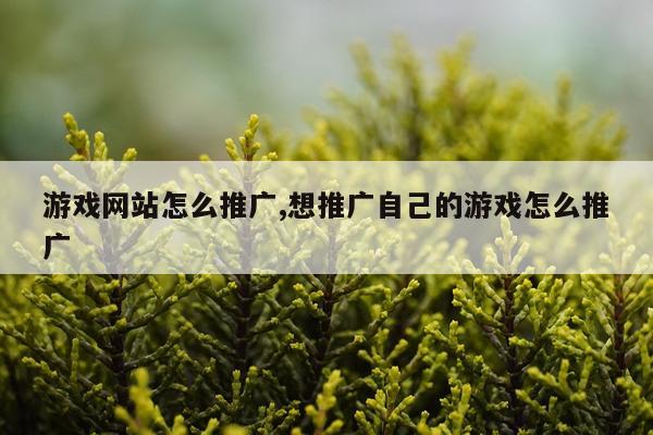 游戏网站怎么推广,想推广自己的游戏怎么推广
