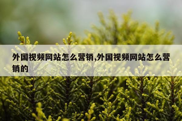 外国视频网站怎么营销,外国视频网站怎么营销的